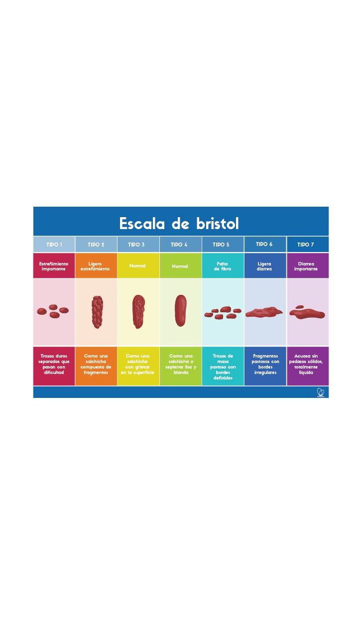 🔥 Póster / Manteleta Digital Escala de Bristol 🔥