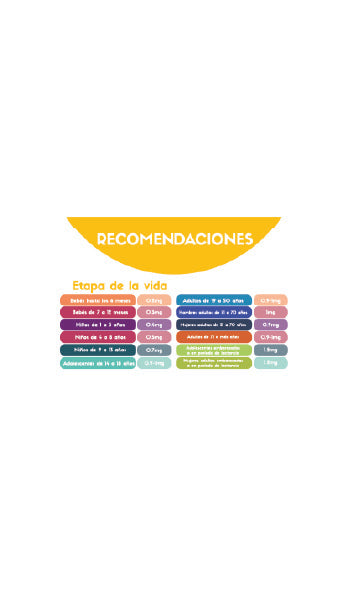 🔥 Guía digital "Vitaminas y Minerales" 🔥