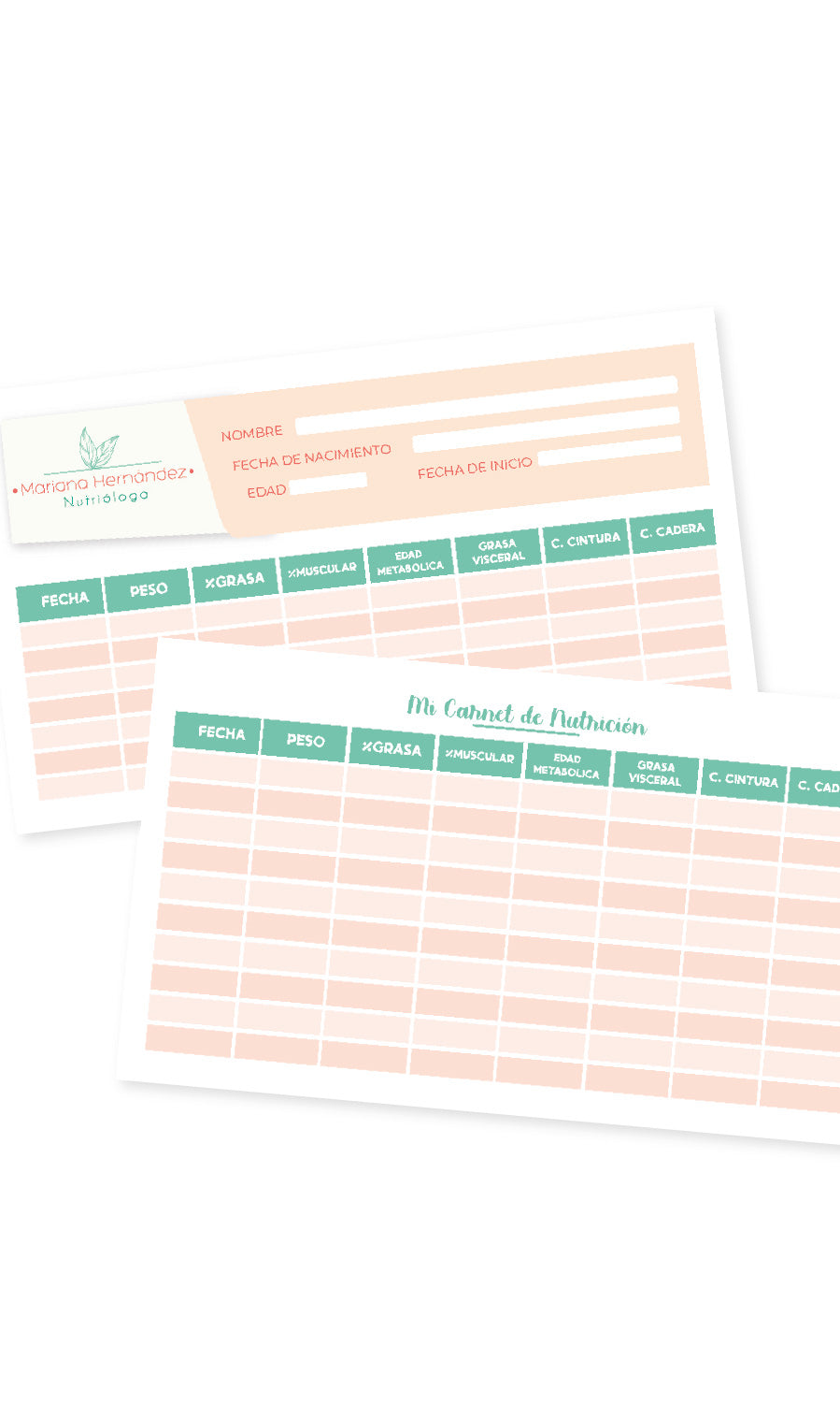 Carnet de segumiento Impresos