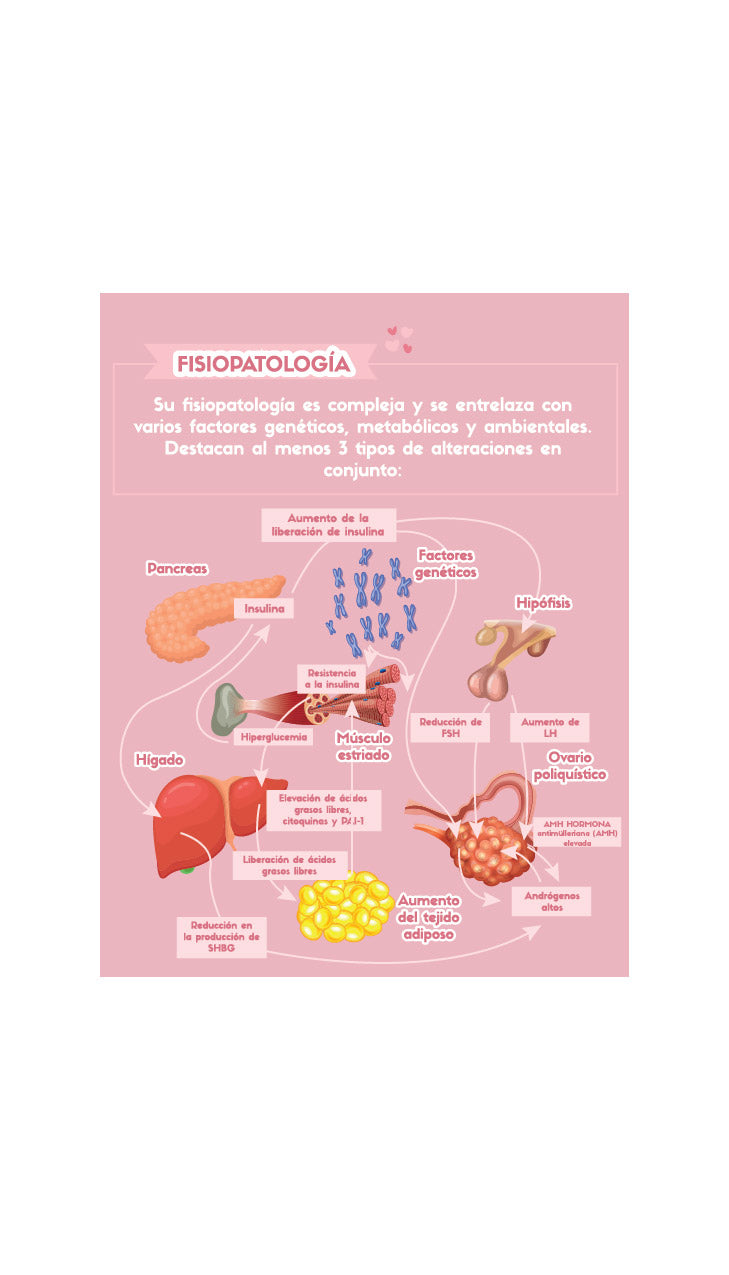 🔥Guía  Digital SOMP PRUEBA(Copia)