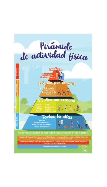 🔥 Póster Digital Pirámide de Actividad Física para Adultos 🔥
