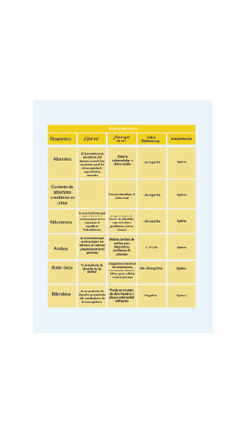 🔥 Guía Digital Pruebas Bioquímicas / Guía de Laboratorios 🔥