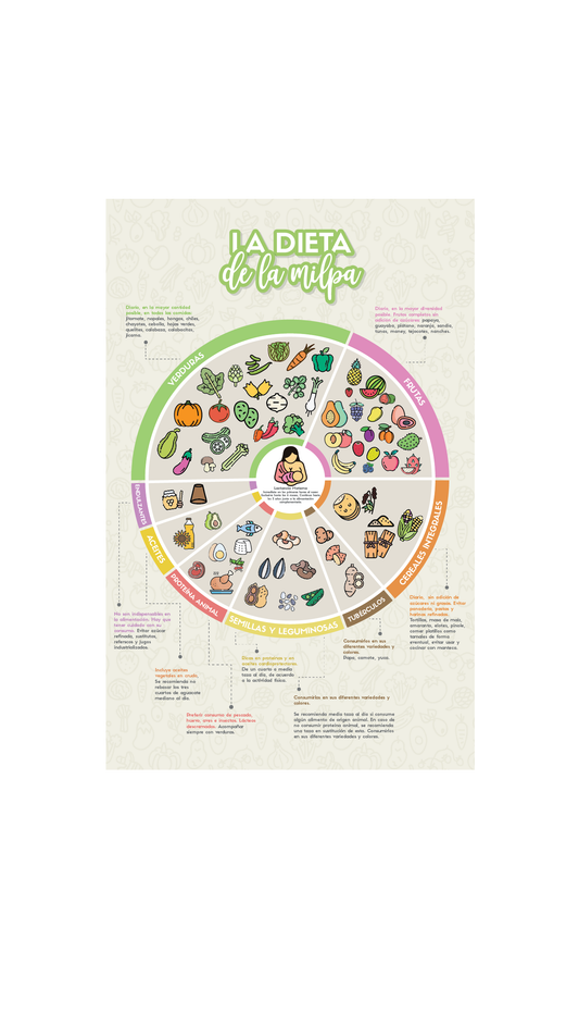 Póster  Digital Dieta de la Milpa