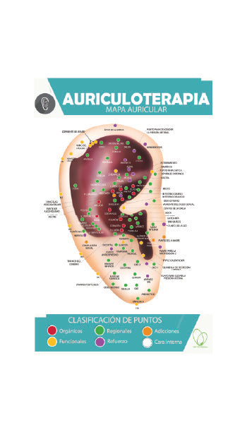 Póster Impreso Auriculoterapia