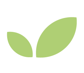 SMAE Sistema mexicano de alimentos equivalentes 5TA ED 2.0 – NUTRITIENDA MX