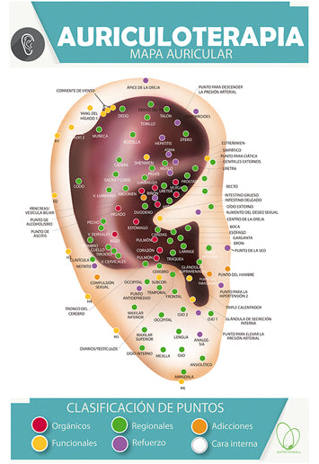 Póster Auriculoterapia