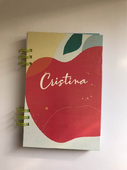 Agenda / Planificador de consultas 2025