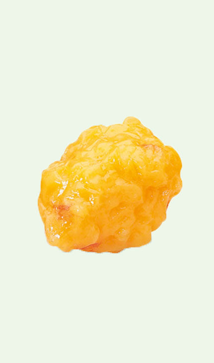 Réplica de grasa Nasco - NUTRITIENDA MX