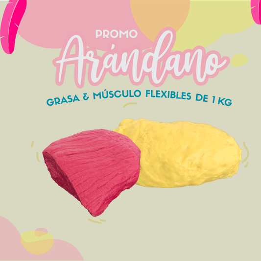 PROMO ARANDANO